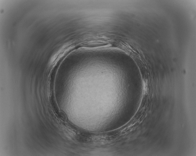 X0000075890291200609221918