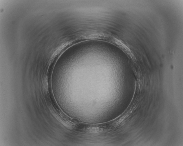 X0000075890298200609221918