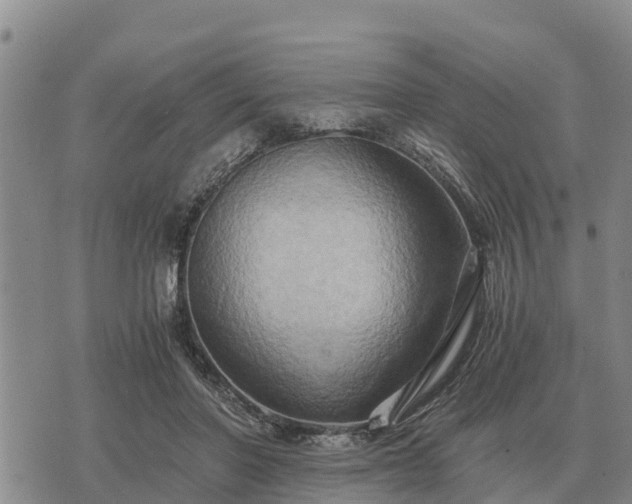 X0000075890406200609221916