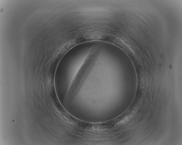 X0000075890641200609221912