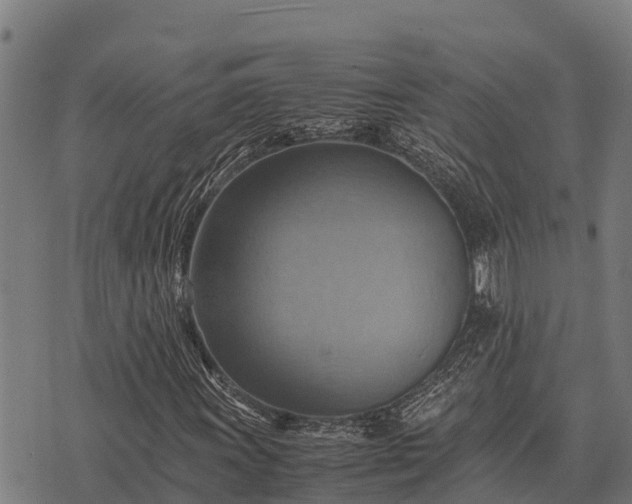X0000075891011200609221906