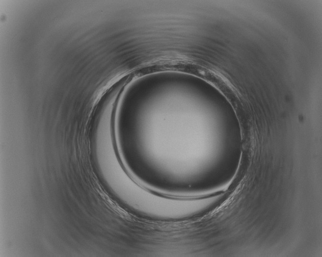 X0000075891018200609221906