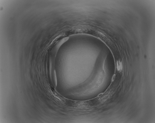 X0000075891155200609221904
