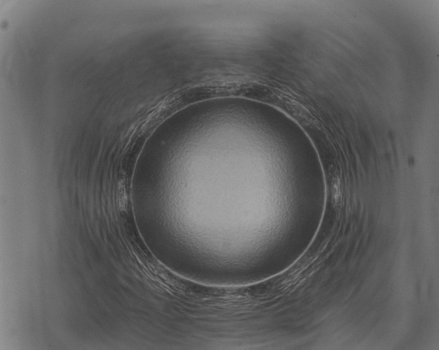 X0000075891204200609221902