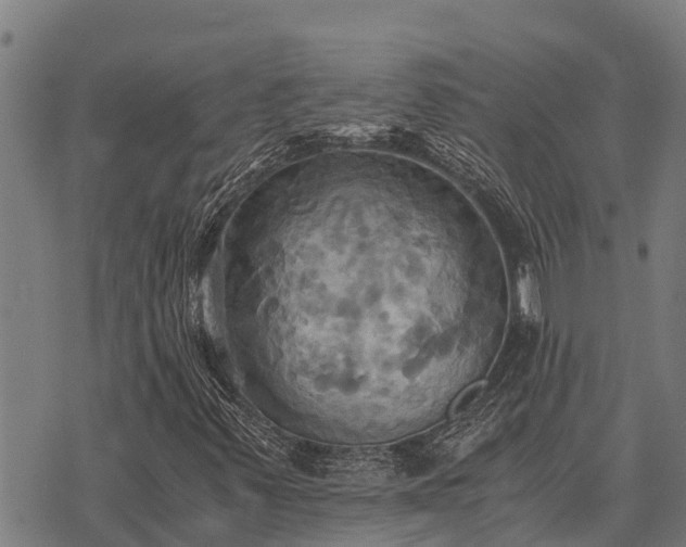 X0000075891347200609221901