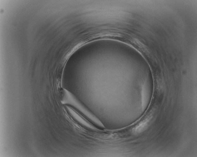 X0000075891369200609221900