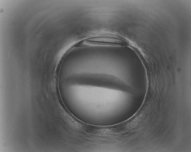 X0000075891463200609221859