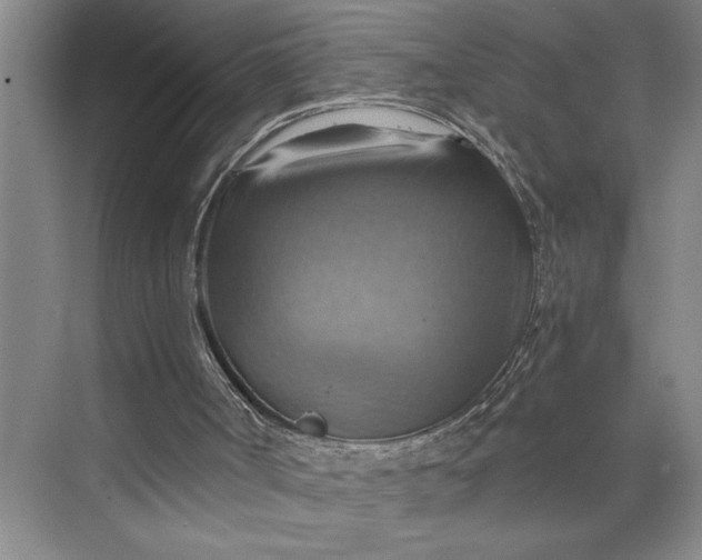 X0000075890002200609291718