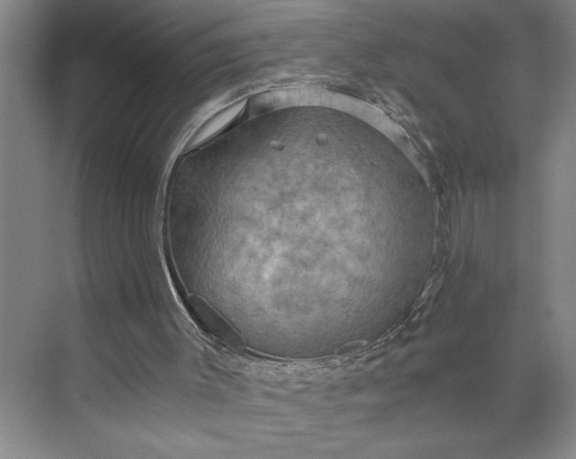 X0000075890003200609291718