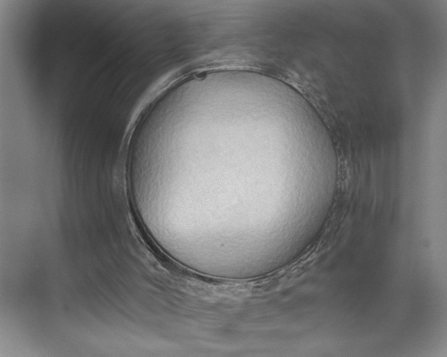 X0000075890004200609291718