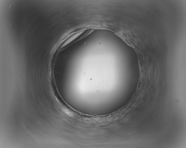 X0000075890005200609291718