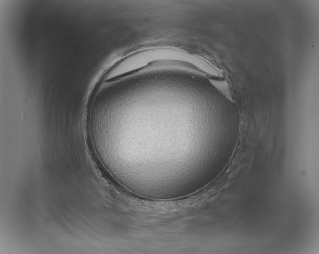 X0000075890006200609291718