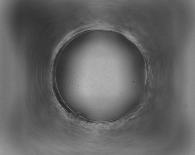 X0000075890007200609291718