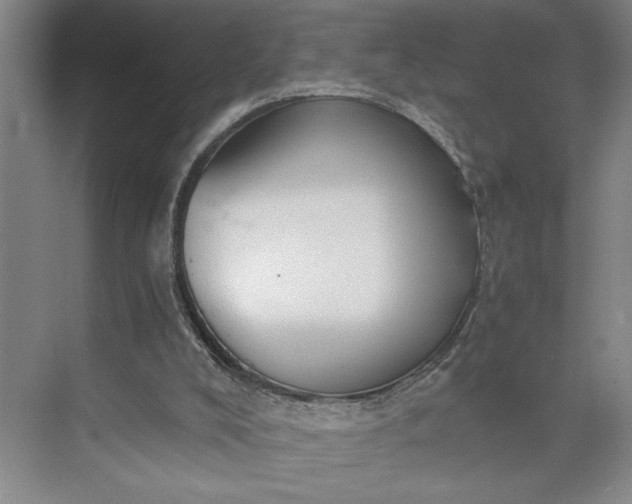 X0000075890008200609291718