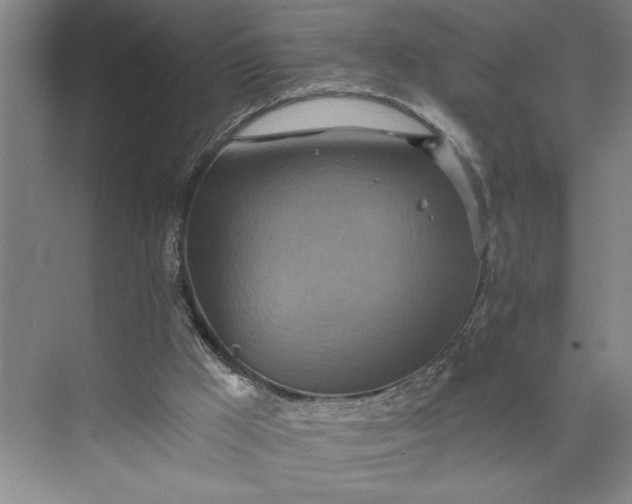 X0000075890009200609291718