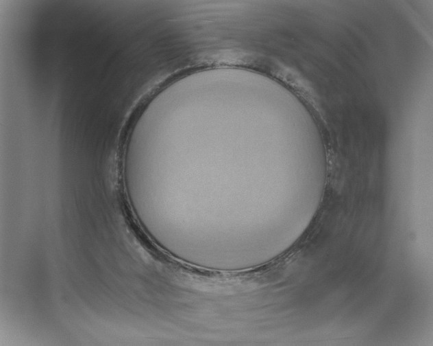 X0000075890012200609291718