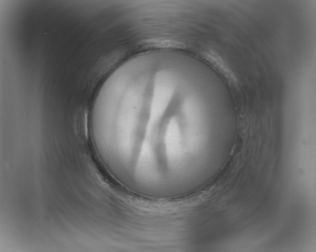 X0000075890014200609291718