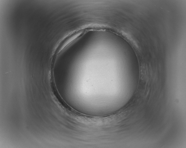 X0000075890015200609291718