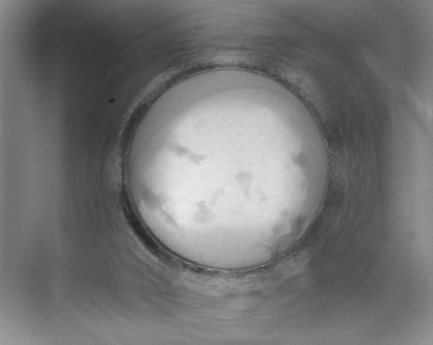 X0000075890016200609291718