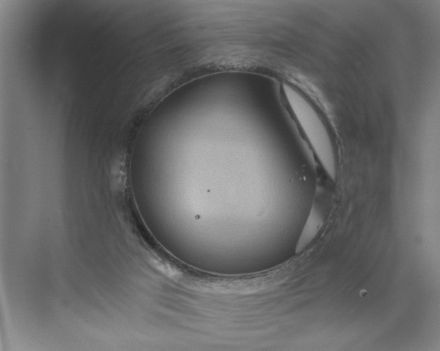 X0000075890017200609291718