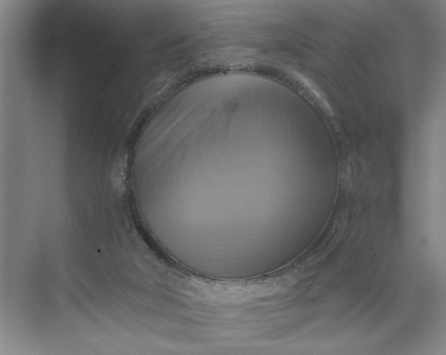 X0000075890018200609291718