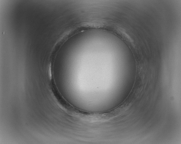 X0000075890020200609291718