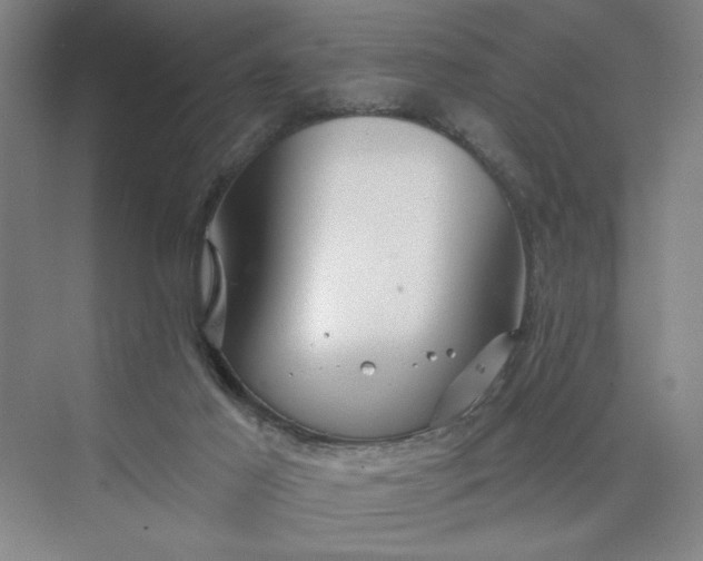 X0000075890021200609291717