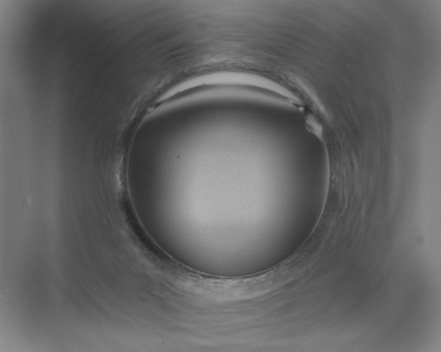 X0000075890023200609291717