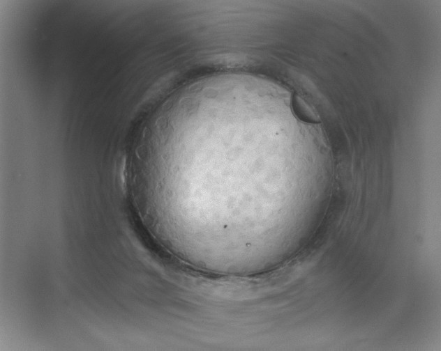 X0000075890024200609291717