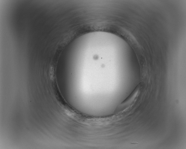 X0000075890025200609291717