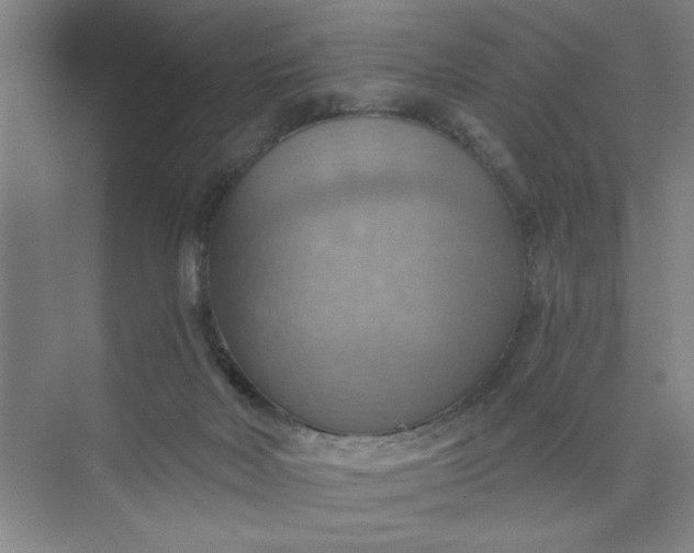 X0000075890026200609291717