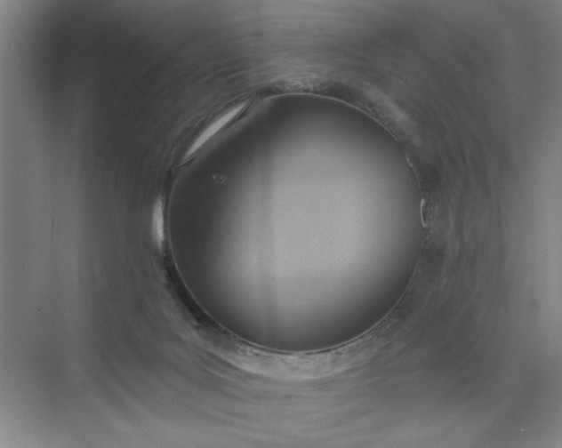 X0000075890027200609291717