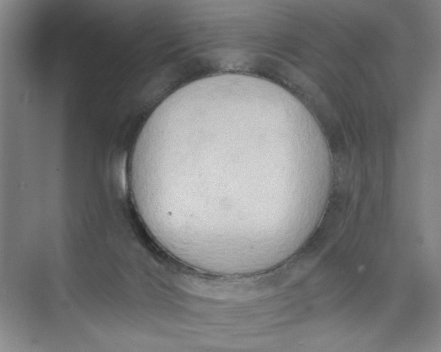 X0000075890028200609291717