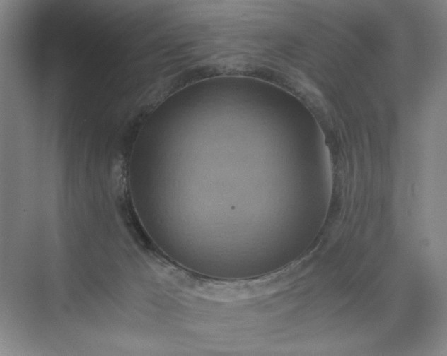 X0000075890029200609291717