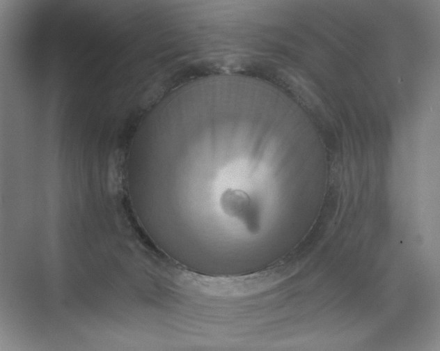 X0000075890030200609291717