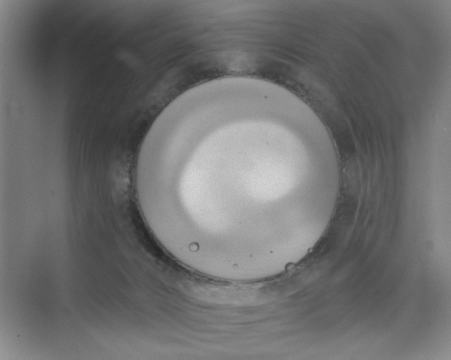 X0000075890032200609291717