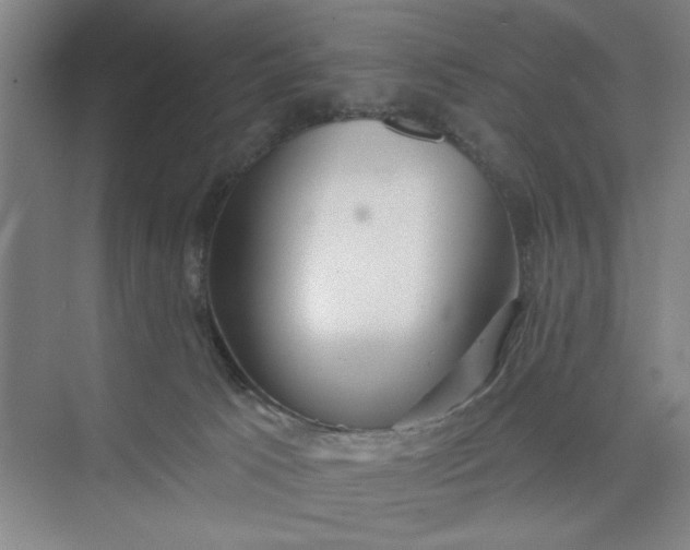 X0000075890033200609291717