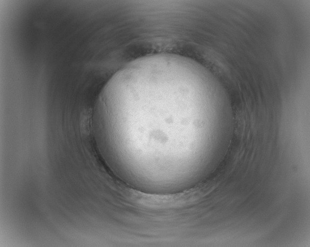 X0000075890034200609291717