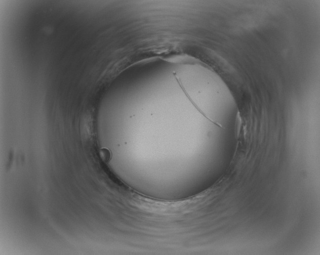 X0000075890035200609291717