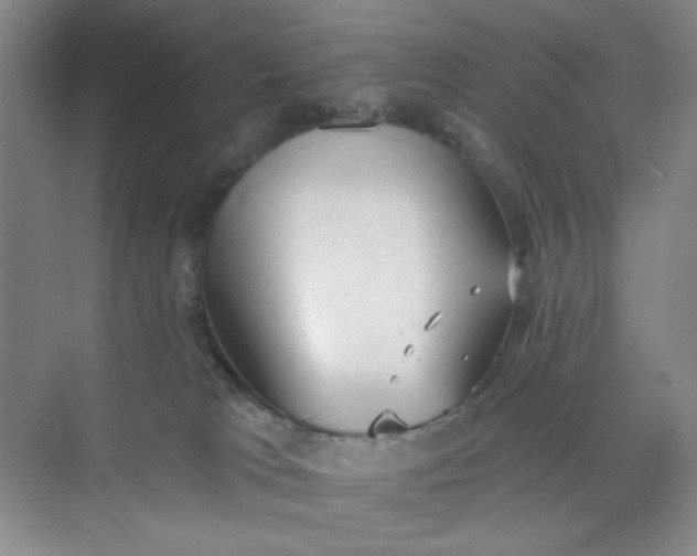 X0000075890037200609291717