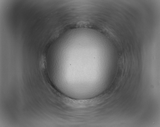 X0000075890038200609291717