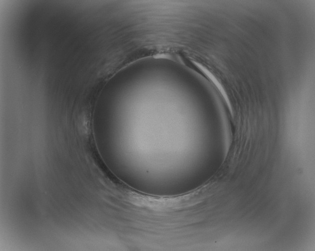 X0000075890039200609291717