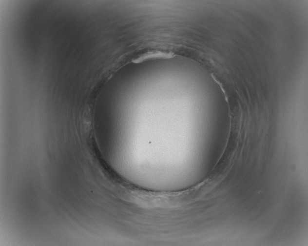 X0000075890040200609291717