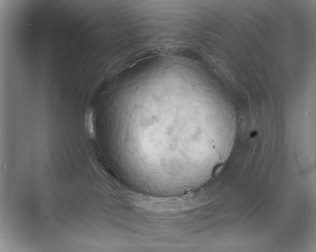 X0000075890042200609291717