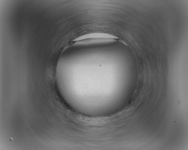 X0000075890044200609291717