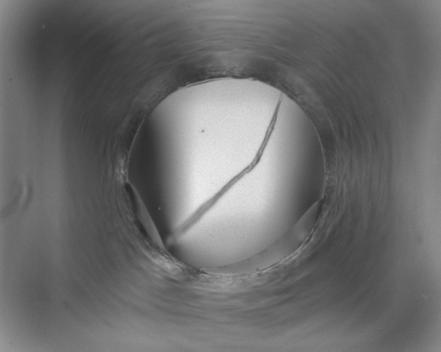 X0000075890045200609291717