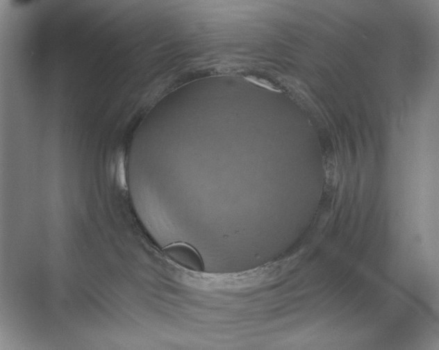 X0000075890046200609291717