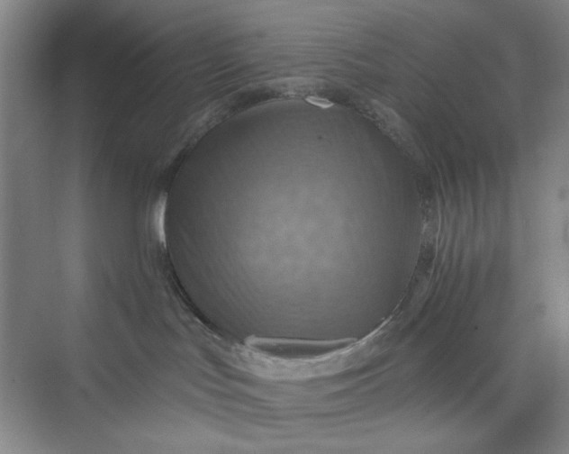 X0000075890047200609291717