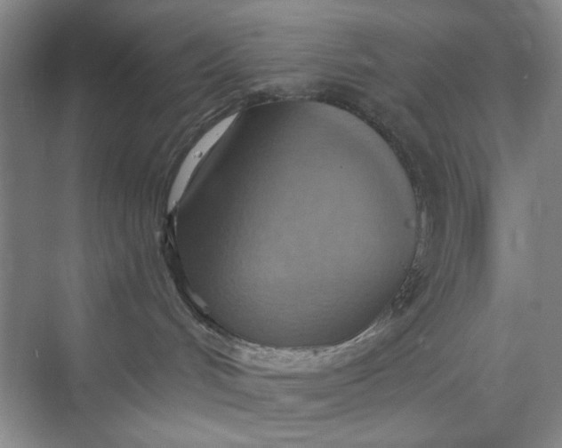 X0000075890048200609291717