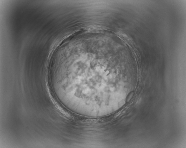 X0000075890049200609291716